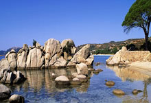 包含里程碑夜法兰克福内部沟通，亚冠转会期刷纪录，管理层满意，赛程密集仍需轮换的词条